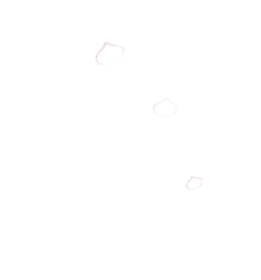 logo-blanc-LCDL.png